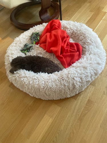 Customer photo review of CalmBed - Motverkar stress & hjälper mot ångest