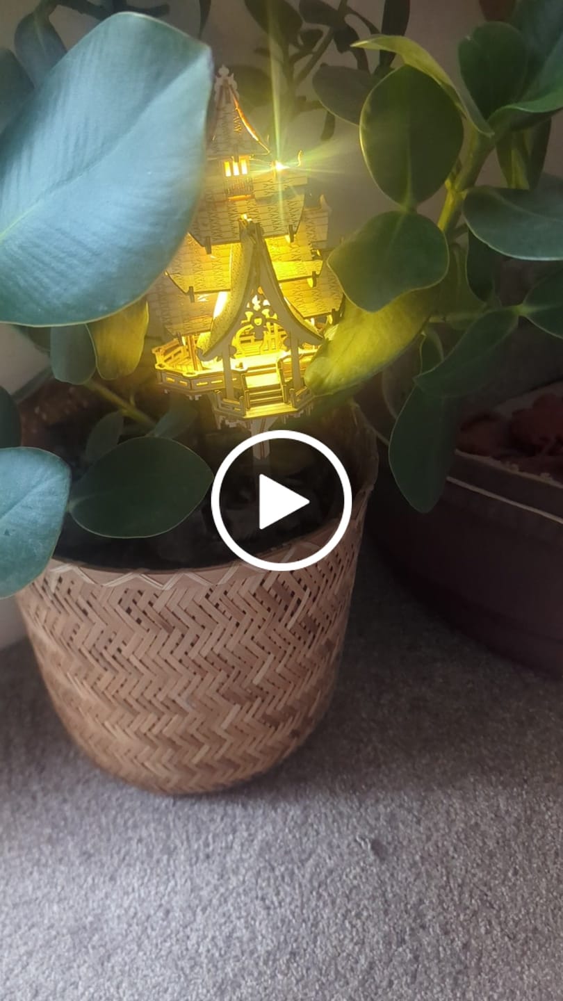 Customer video review of Temple of Joy