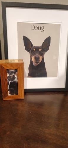 Customer photo review of Detailed Pet Portrait