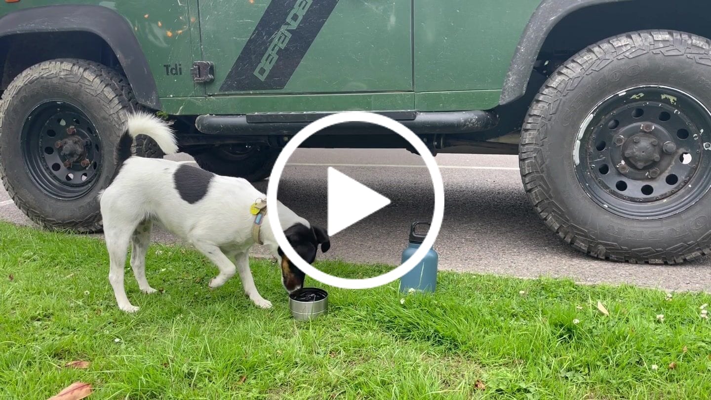Customer video review of NAVY SEAL - 3 in 1 Portable Travel Water Buddy Bottle For Dogs