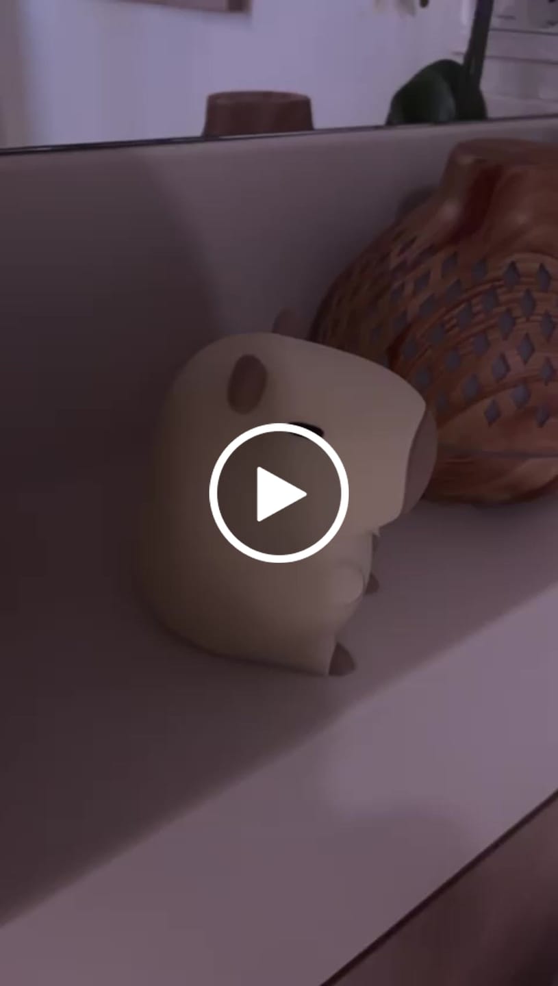 Customer video review of MeWaii® Capybara Squishy Night Light - Perfect Gift 🎁