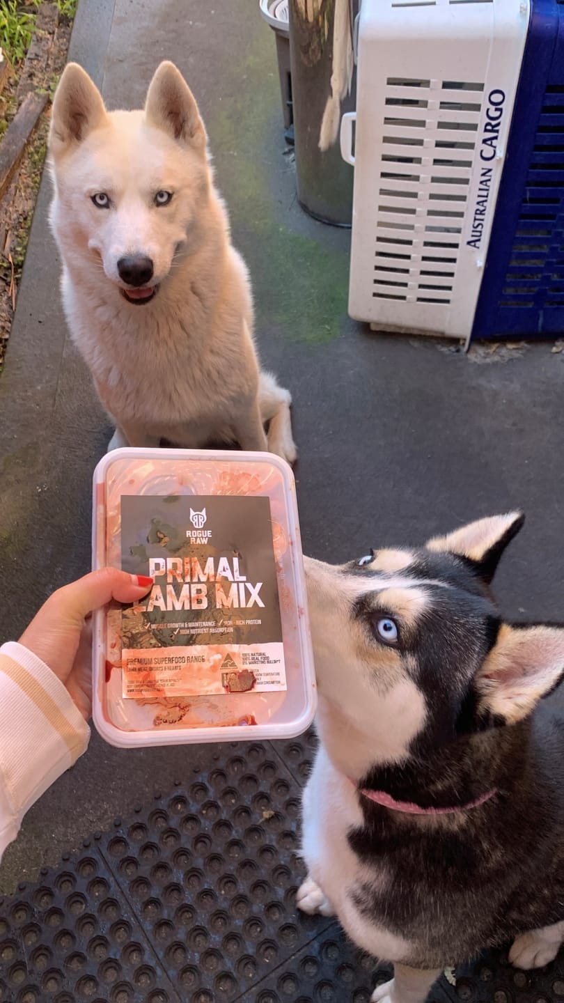Customer photo review of PRIMAL LAMB MIX
