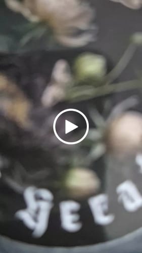 Customer video review of Cathedral Eau de Parfum *ships from 18th july*