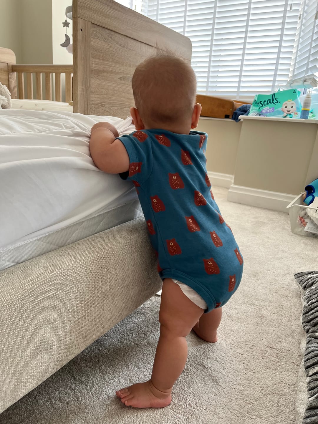 Customer photo review of Teddy Bears Organic Baby Bodysuit Set 2 Pack