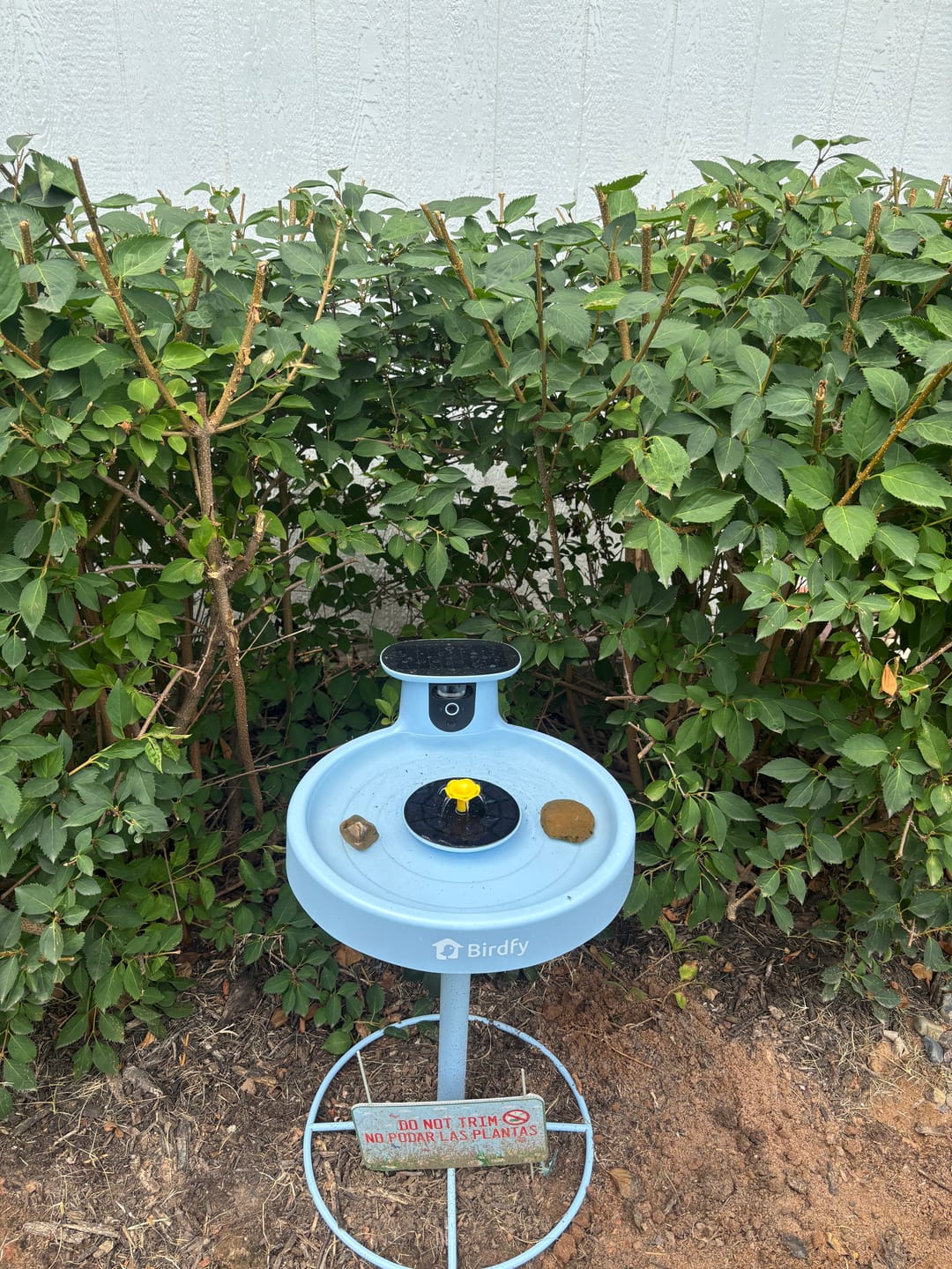 Customer photo review of Birdfy Bath Pro - Smart Bird Bath with Camera