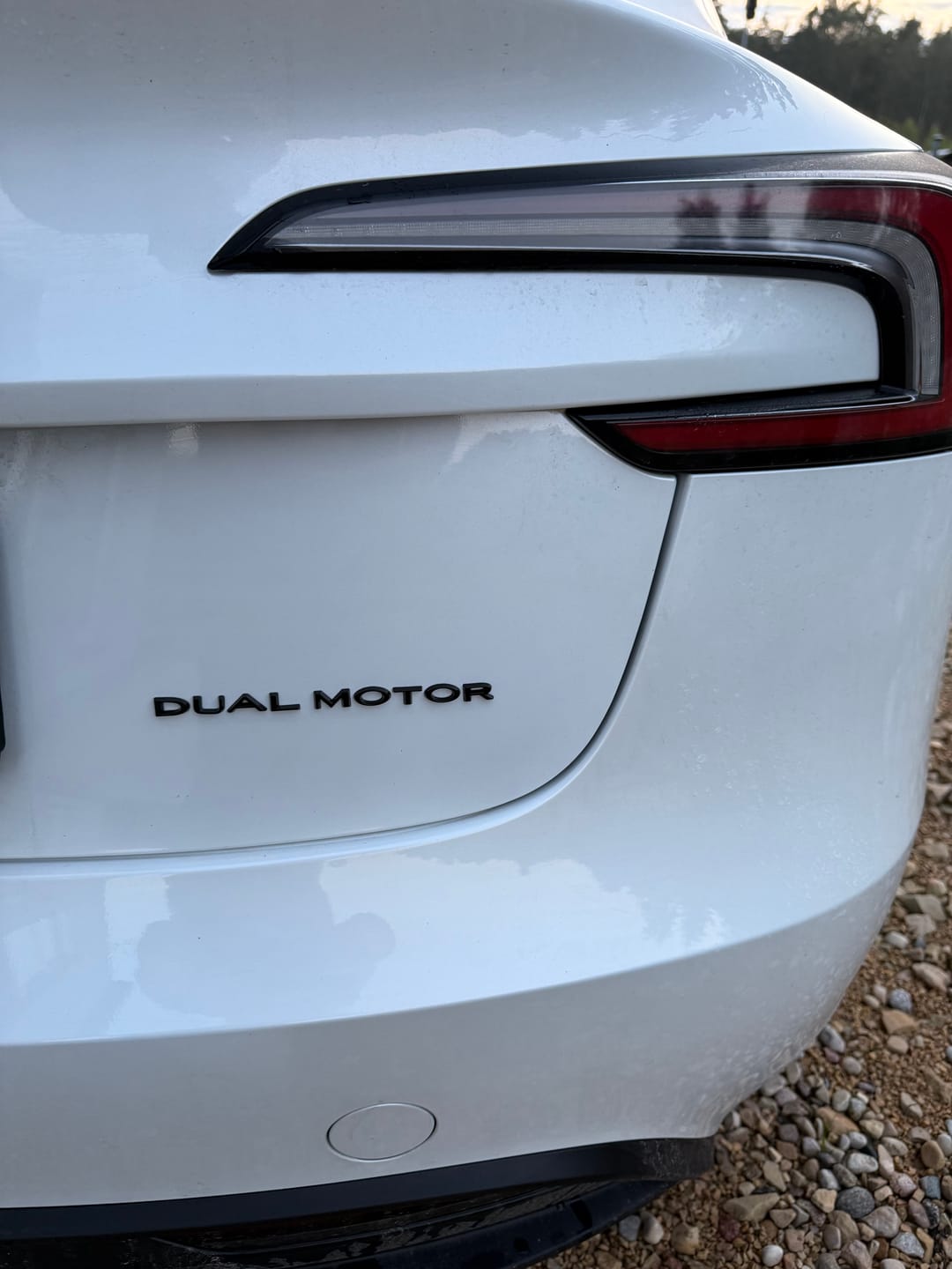 Customer photo review of Premium Dual Model Emblem Badge for All Teslas (5 Colors)