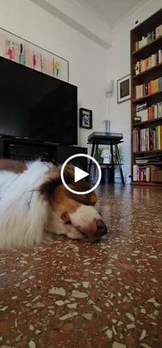 Customer video review of M1