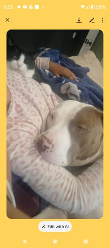 Customer photo review of Ostrich Hip Bone (12" x 5"x 3”): The Durable, Flavor-Packed Chew for Medium & Large Dogs