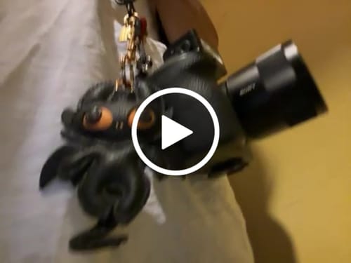 Customer video review of DRAGON CHARM