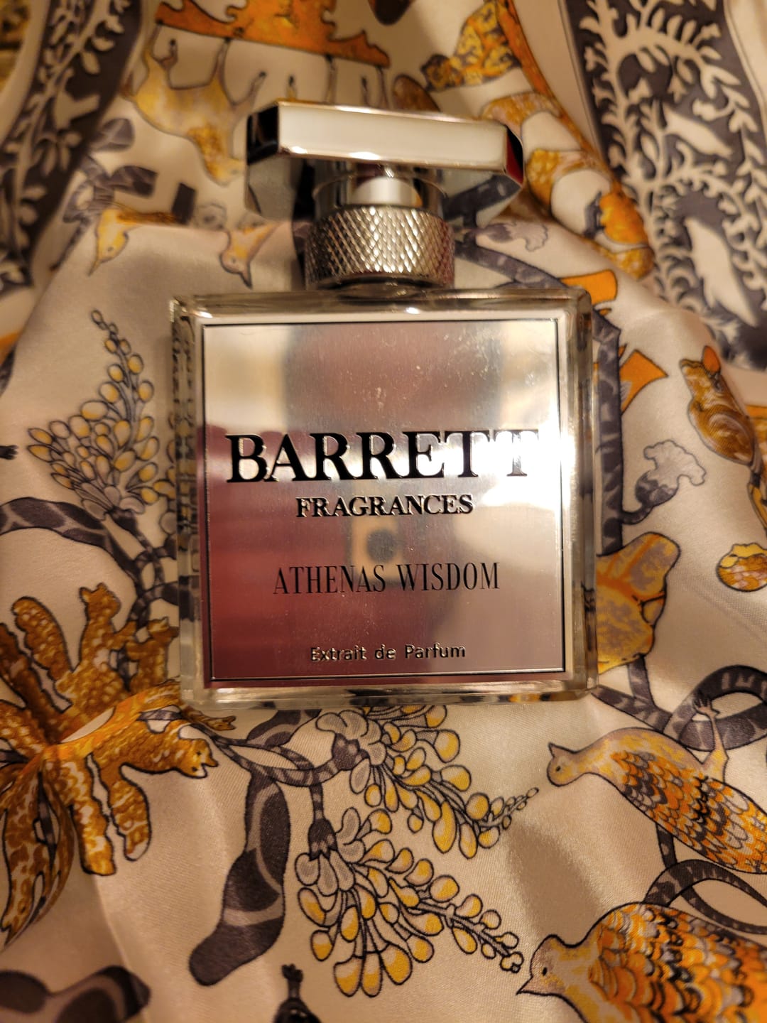 Customer photo review of Athena's Wisdom inspired by Guidance