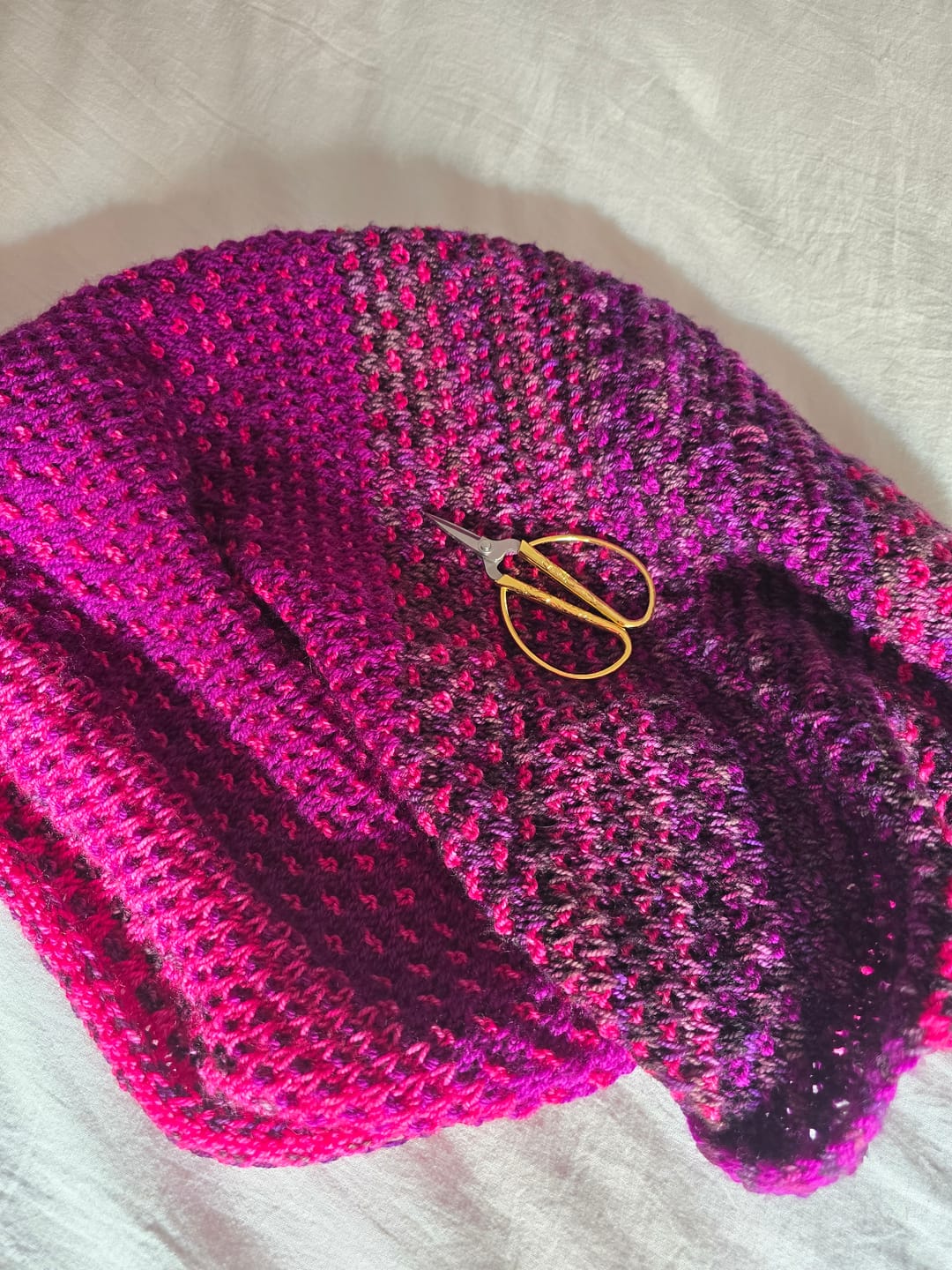 Customer photo review of Alegria  (75% Lana Merino Superwash / 25% Nylon)