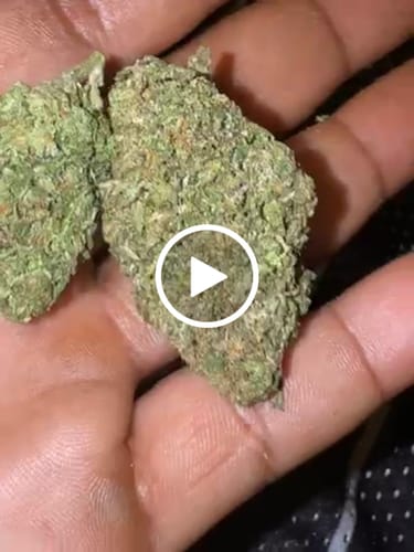 Customer video review of Gruntz - Greenhouse Light Dep THCA