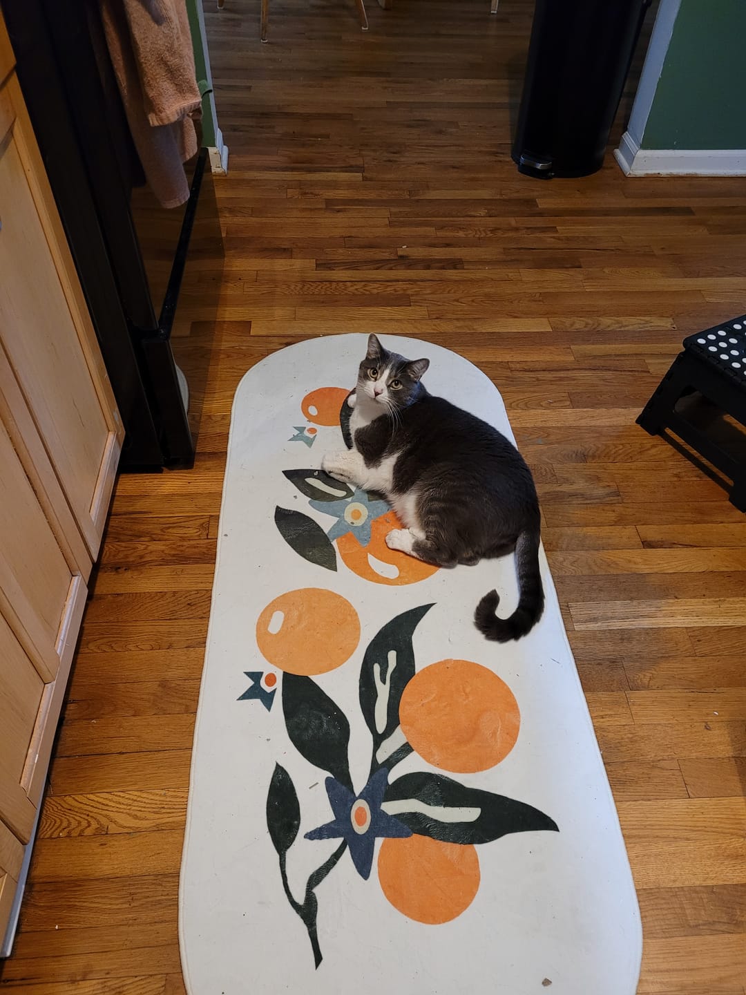 Customer photo review of Orange Pattern Mat