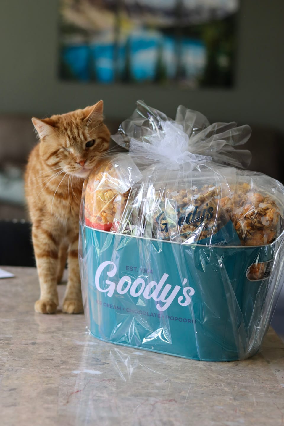 Customer photo review of Large Gourmet Gift Tin