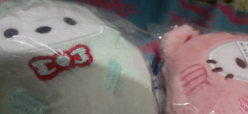 Customer photo review of Sanrio Keychains Chonky Cats Collection