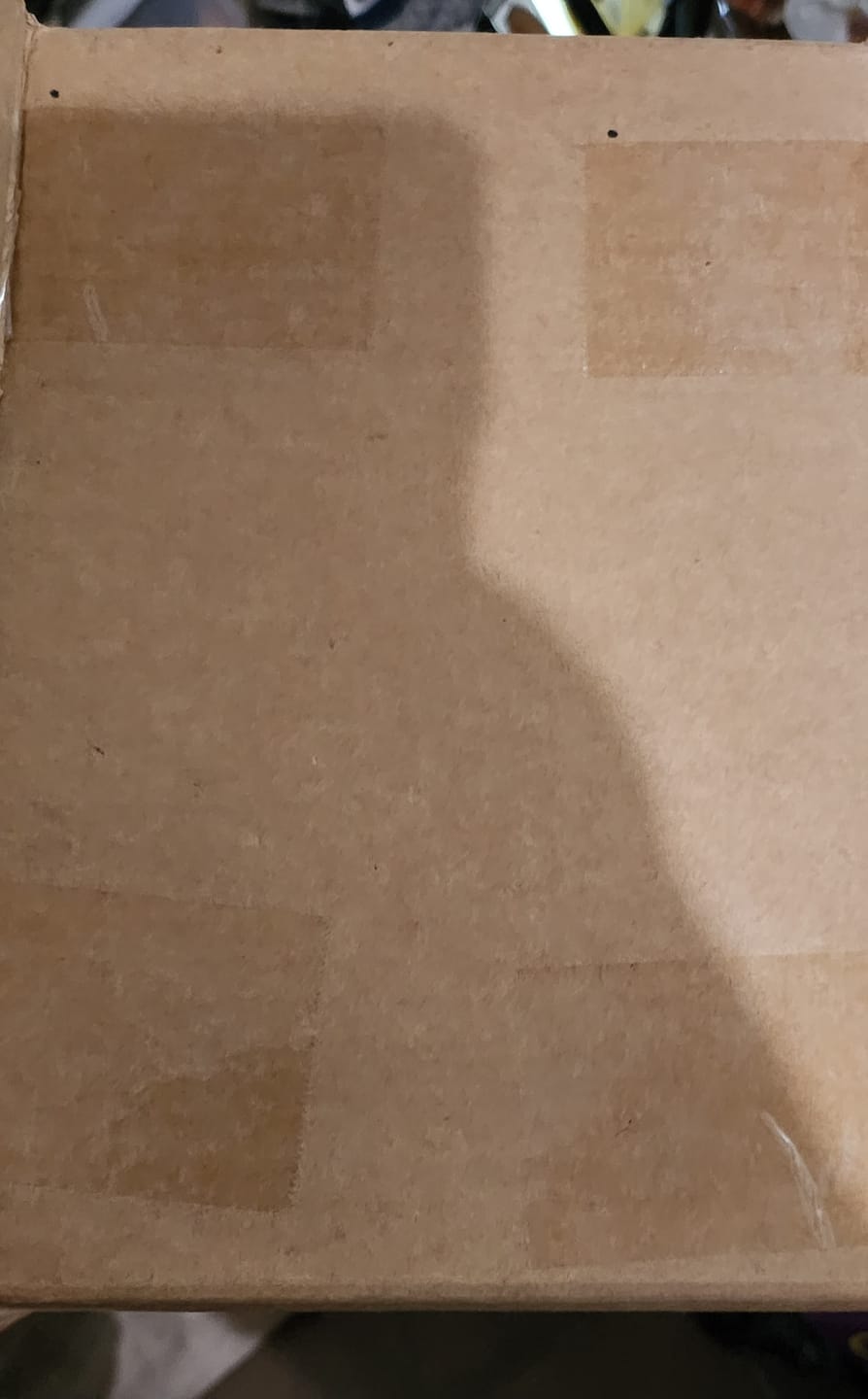 Customer photo review of Shipping Protection