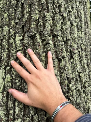 Customer photo review of Palestine Heritage Cuff