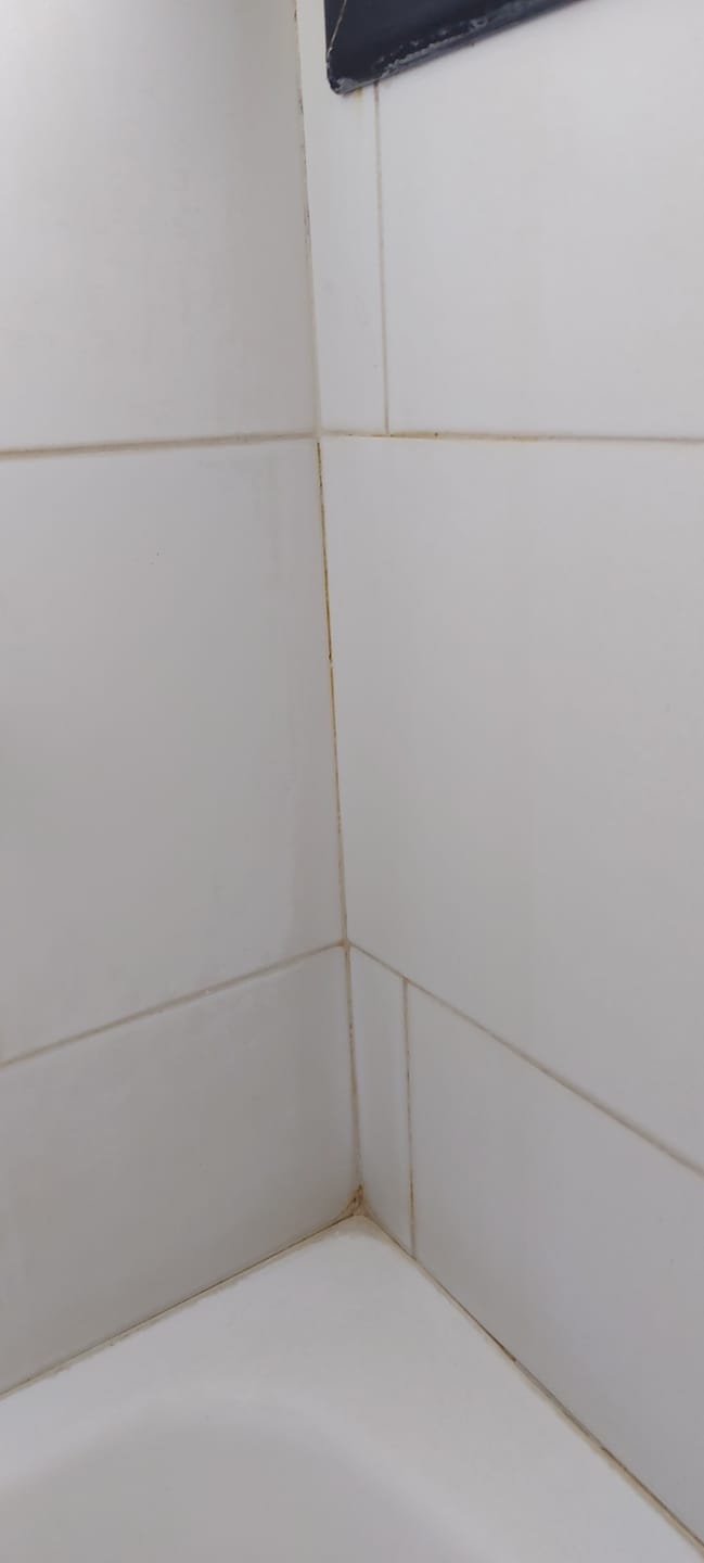 Customer photo review of Sarro Cero™ x 500 ml - 3x1 🔥| Eliminá manchas imposibles en minutos