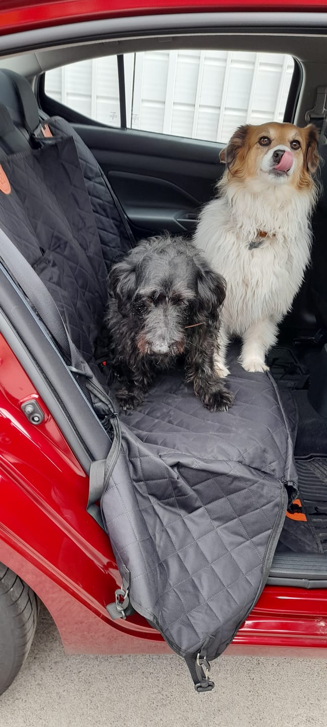 Customer photo review of Funda impermeable para auto