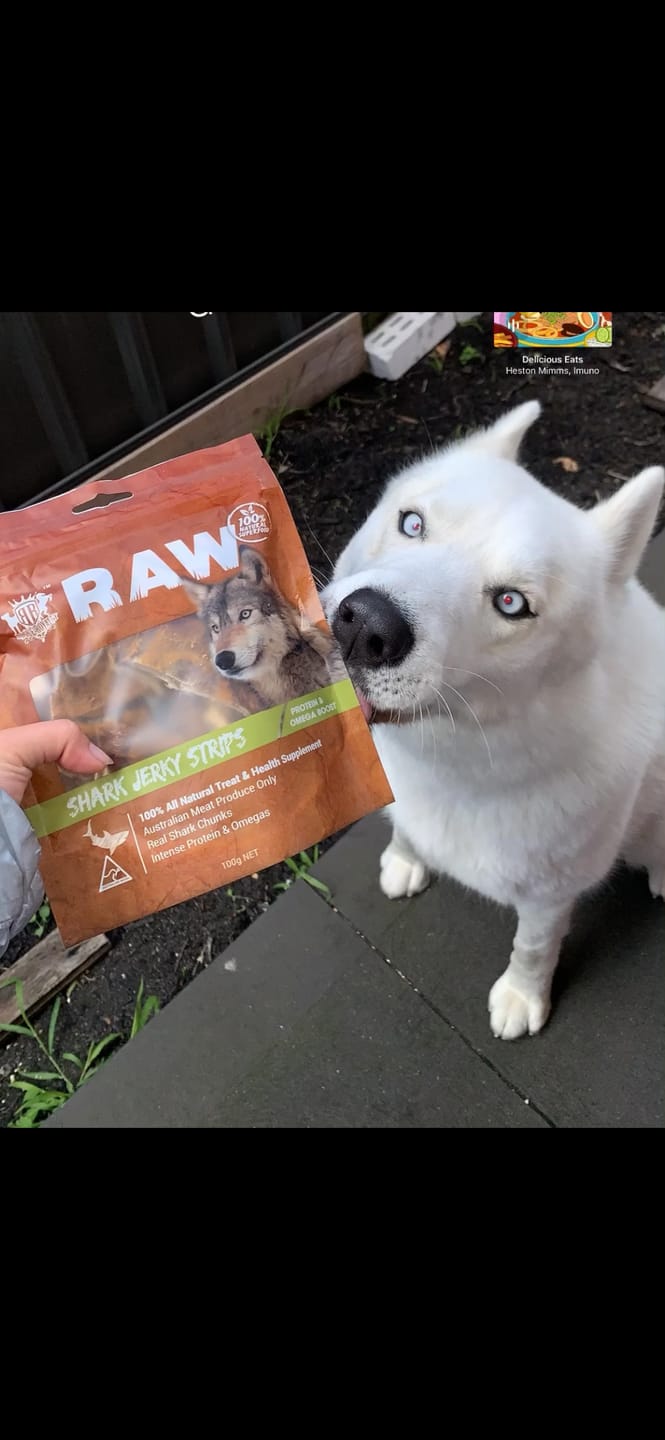 Customer photo review of Shark Jerky Chews