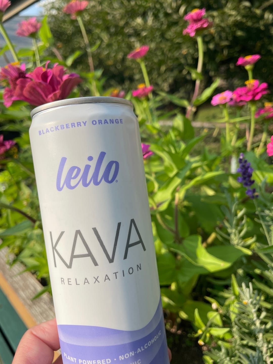 Customer photo review of Blackberry Orange Kava Drink (12-Pack)
