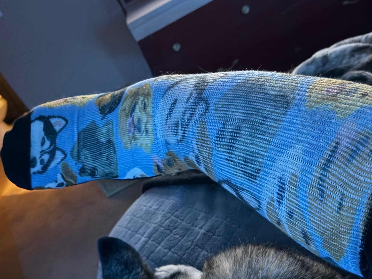 Customer photo review of Ruff Life EasyStretch™ Socks