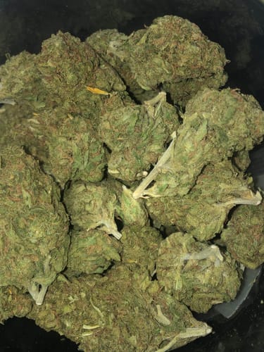 Customer photo review of Sour Haze