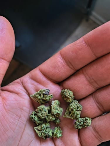 Customer photo review of THCa Greenhouse Smalls