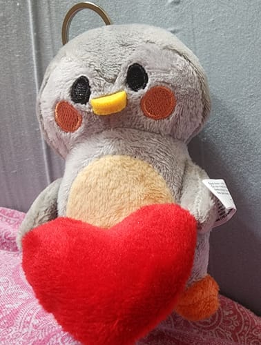 Customer photo review of Finch Bag Charm with Heart