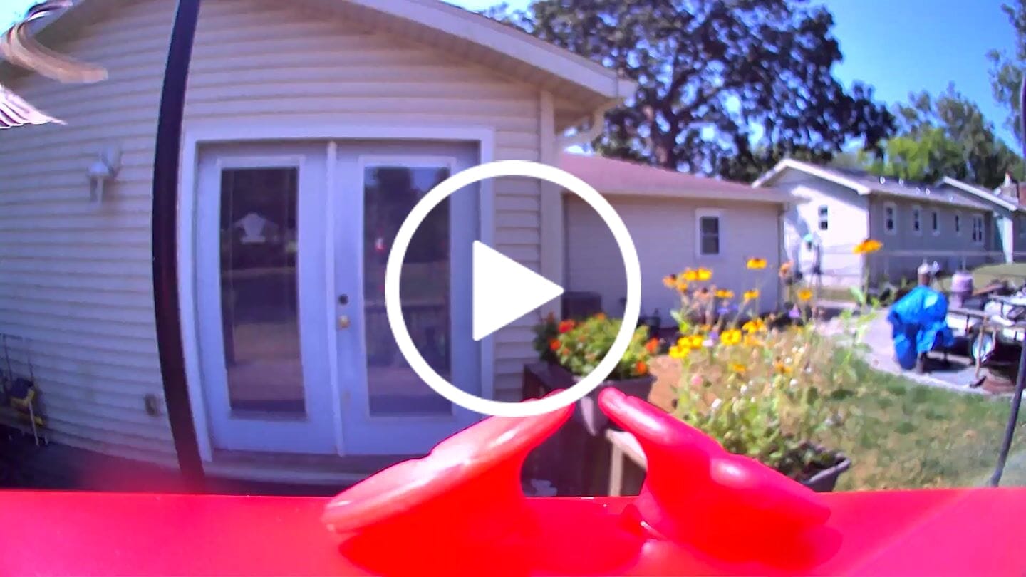 Customer video review of Birdfy Hum Feeder - Hummingbird Feeder with Camera