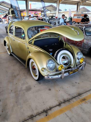 Customer photo review of Vintage AirCooled Rides - 66 Racer T-Shirt