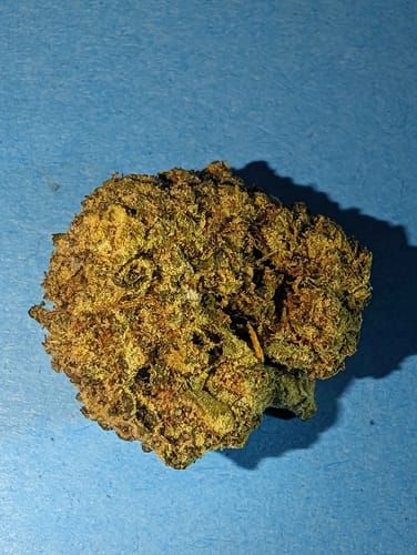 Customer photo review of Value Indoor Smalls