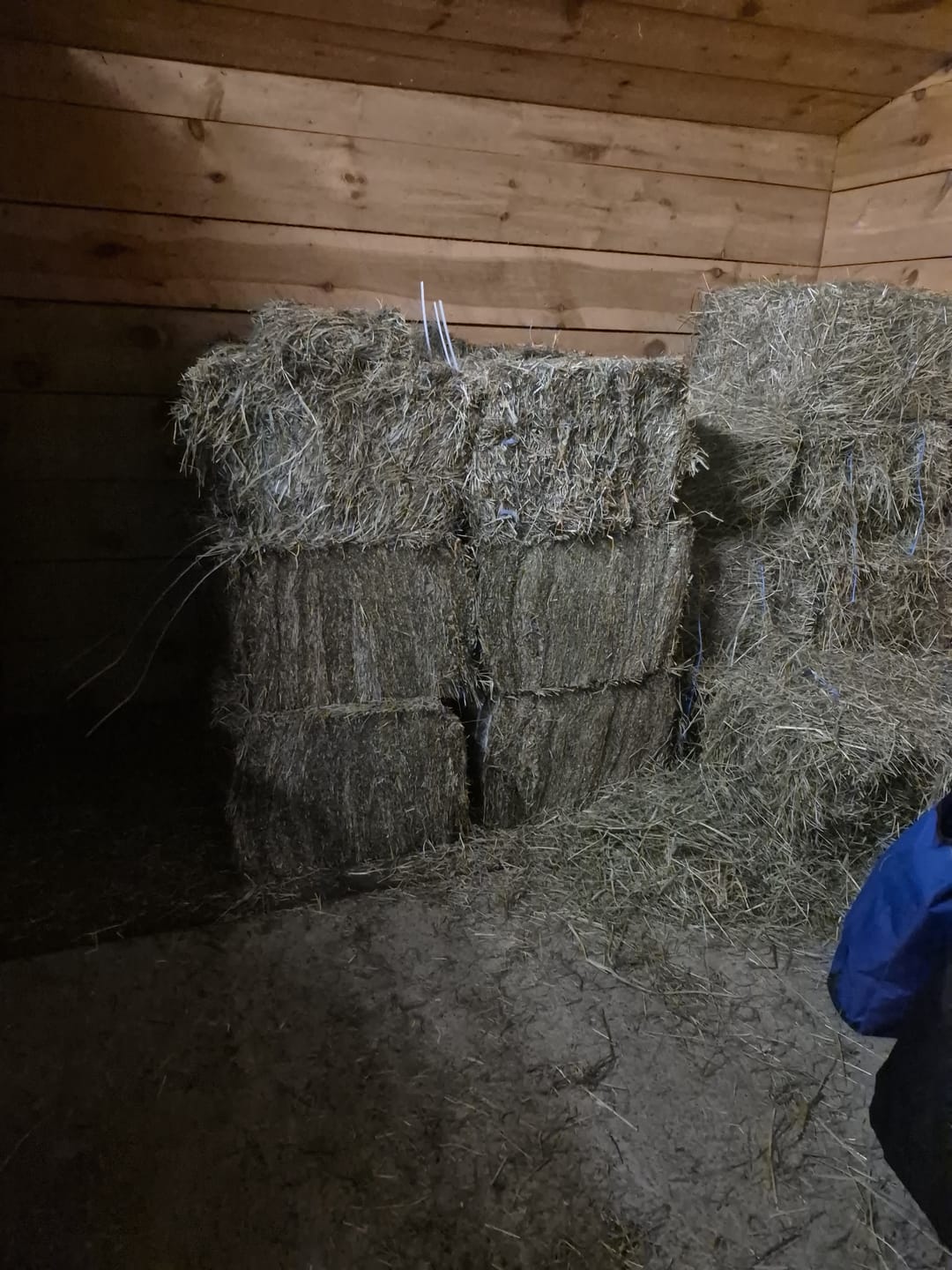 Customer photo review of 1st Cutting Timothy Orchard Grass Hay (Buy More - Save More)(Includes delivery too!)