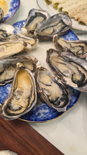 Customer photo review of Frozen Half Shell Pacific Oyster Box