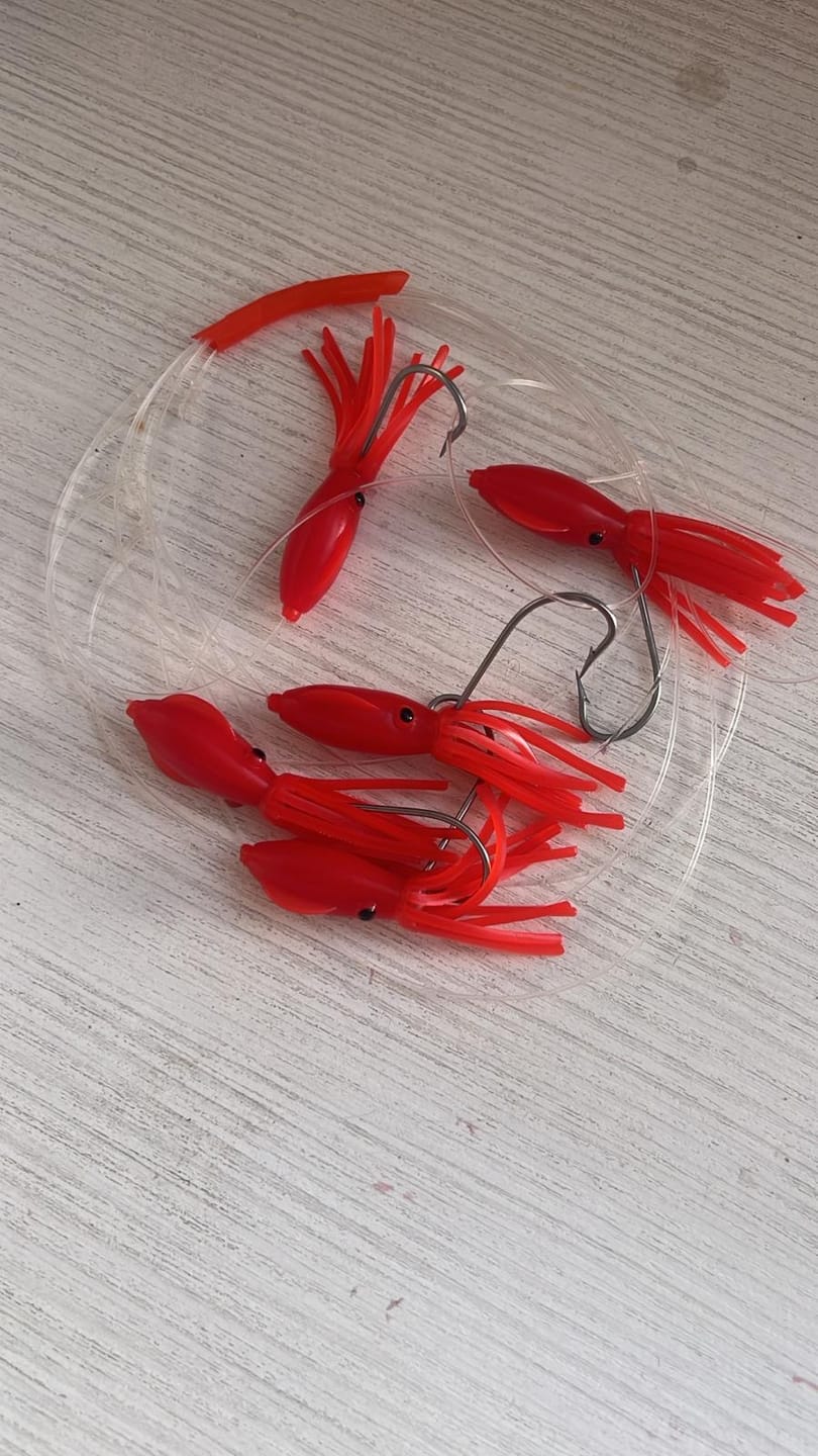 Customer photo review of Filosa mini squid