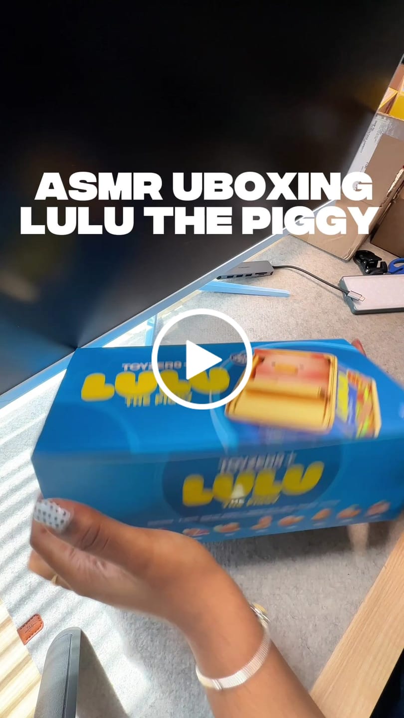 Customer video review of LuLu The Piggy Stay With You Series Blind Box