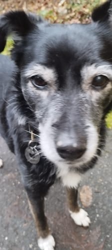 undefined review of Uro Hero image 1 out of 1