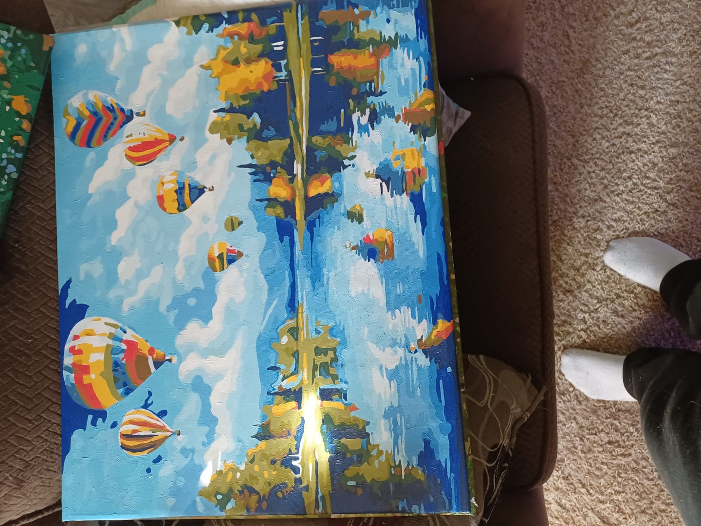 Customer photo review of Hot Air Balloon Showcase