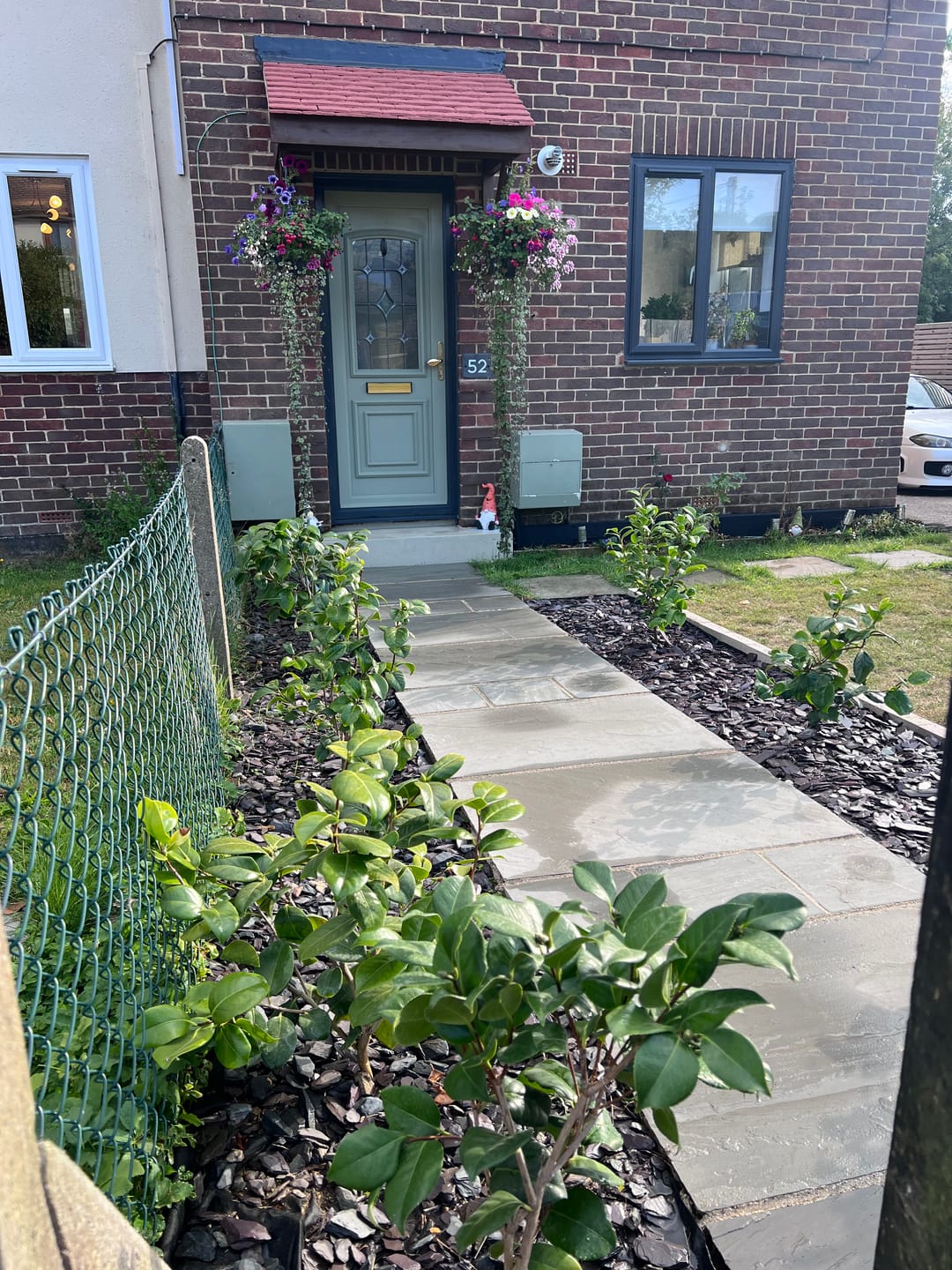 Customer photo review of Camellia Japonica 'Madame Cachet' 70cm 3L