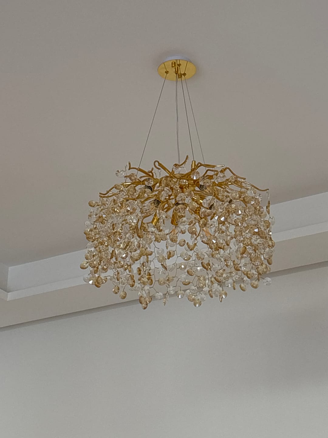 Customer photo review of Lustre BELONG