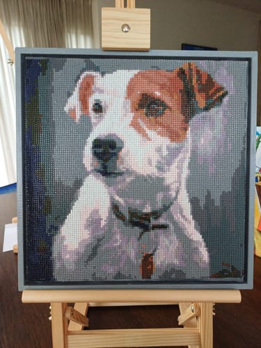 Customer photo review of Jack Russell