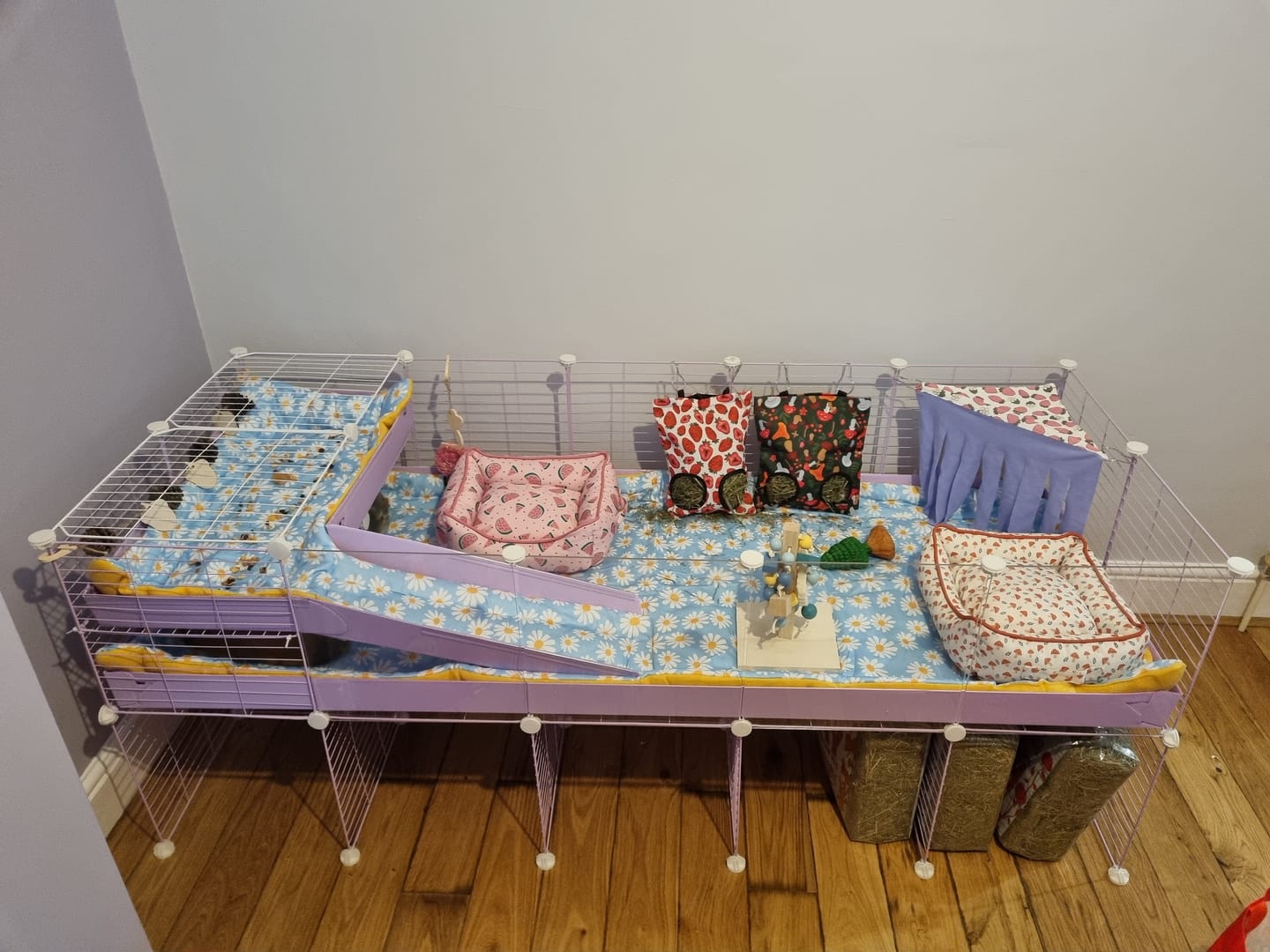 Customer photo review of 5x2 C&C Cage with Loft & Stand
