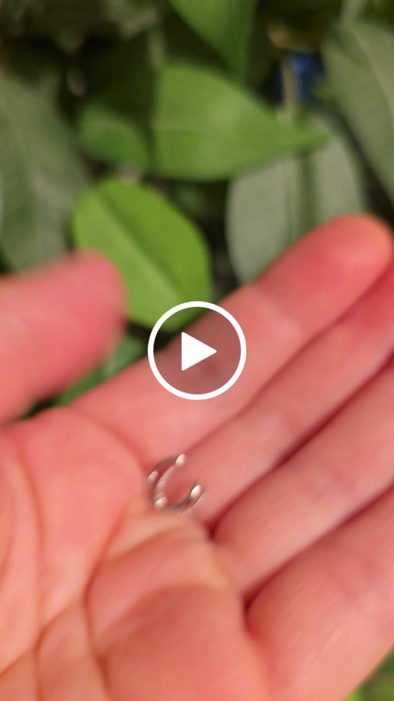 Customer video review of Sasha 18k White Gold Plated 10mm Hoop Ear Cuff with Swarovski Crystals