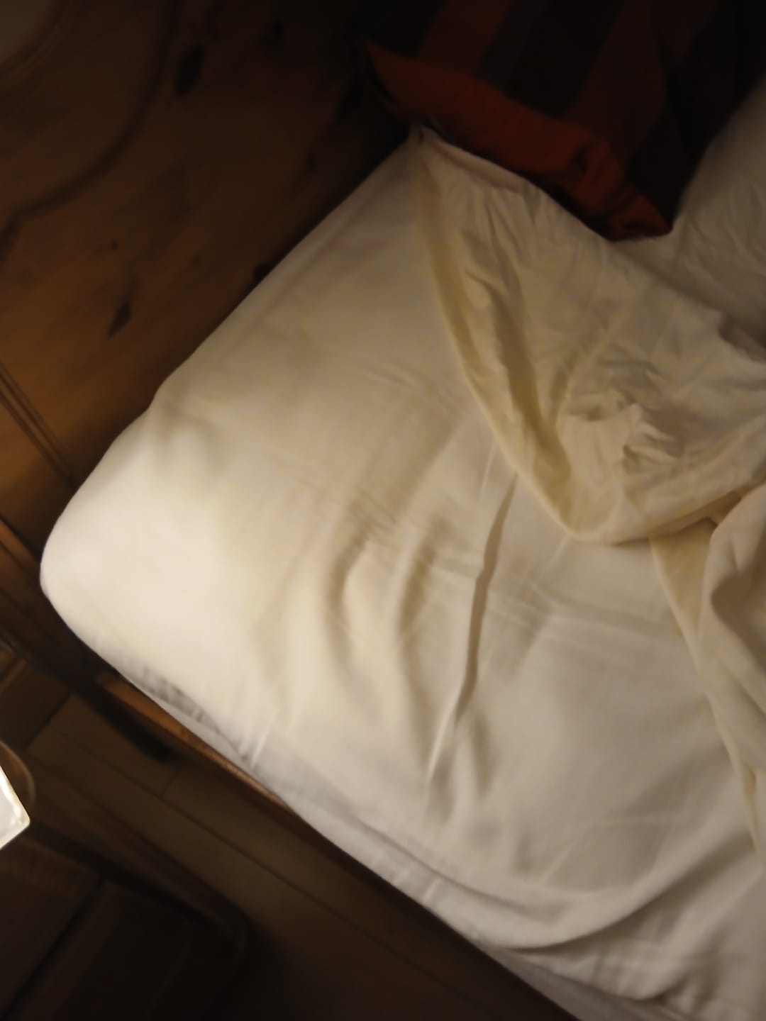 Customer photo review of Bio Cotton Mattress Protector