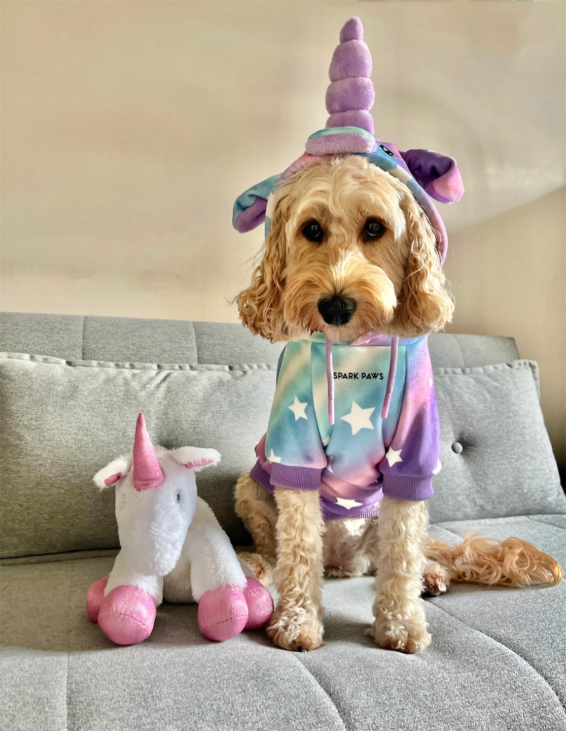 Customer photo review of Halloween Dog Hoodie - Unicorn
