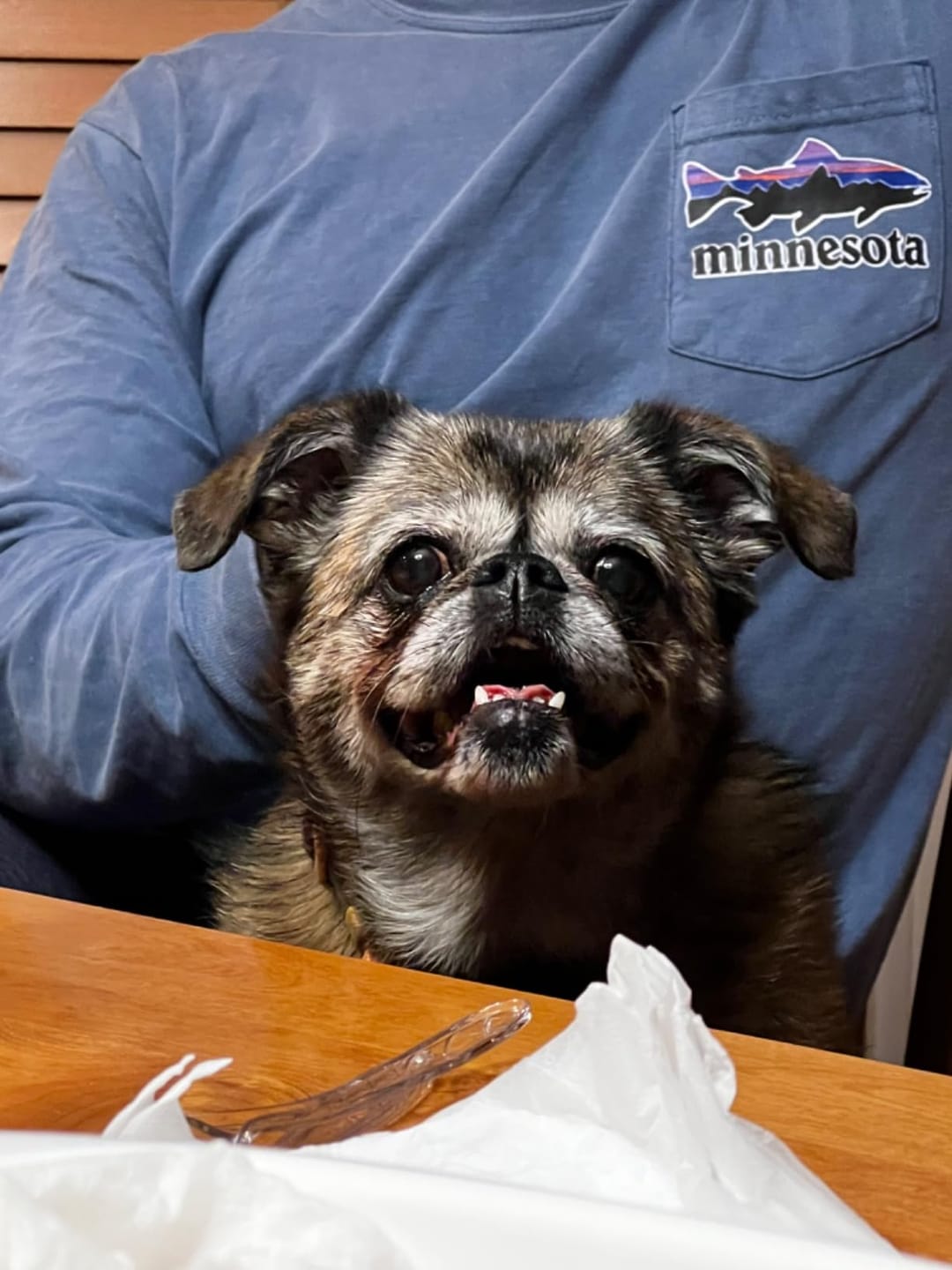 Customer photo review of Pet Finger Dental Wipes