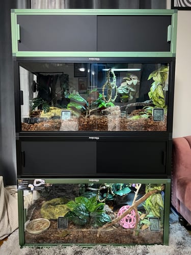 Customer photo review of 36'' Spacer Cabinet For 50 Gallon Reptile Tanks