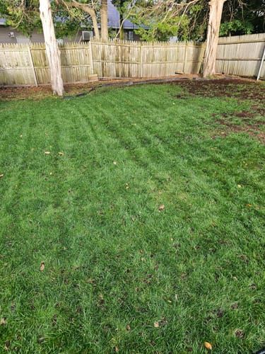 Customer photo review of GCI Turf Spreader Elite Grass Seed