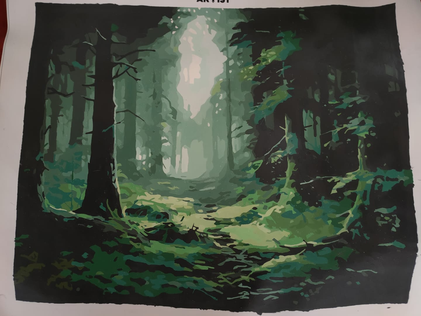 Customer photo review of Misty Forest
