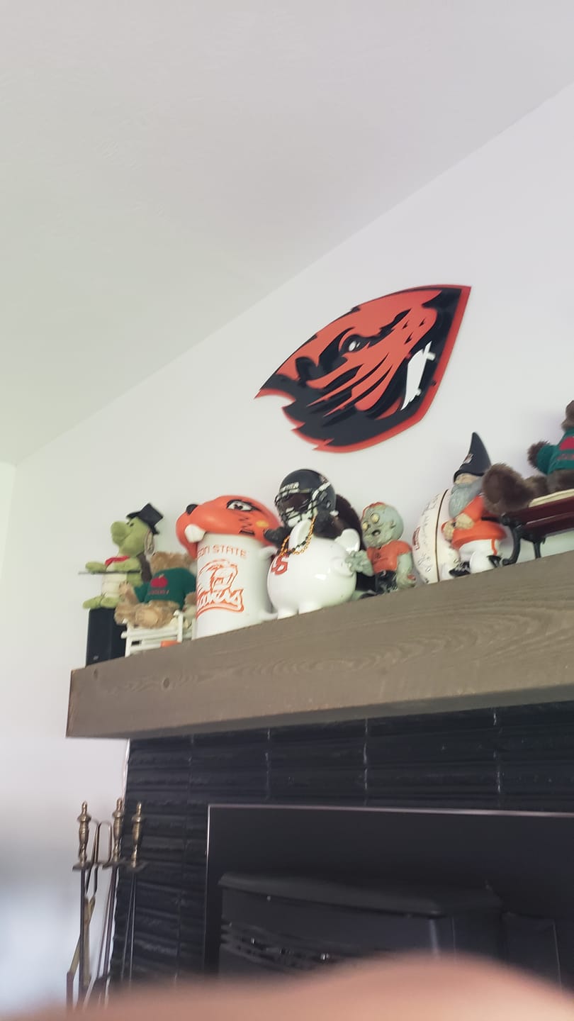 Customer photo review of Oregon State Beaver 3D Metal Wall Art